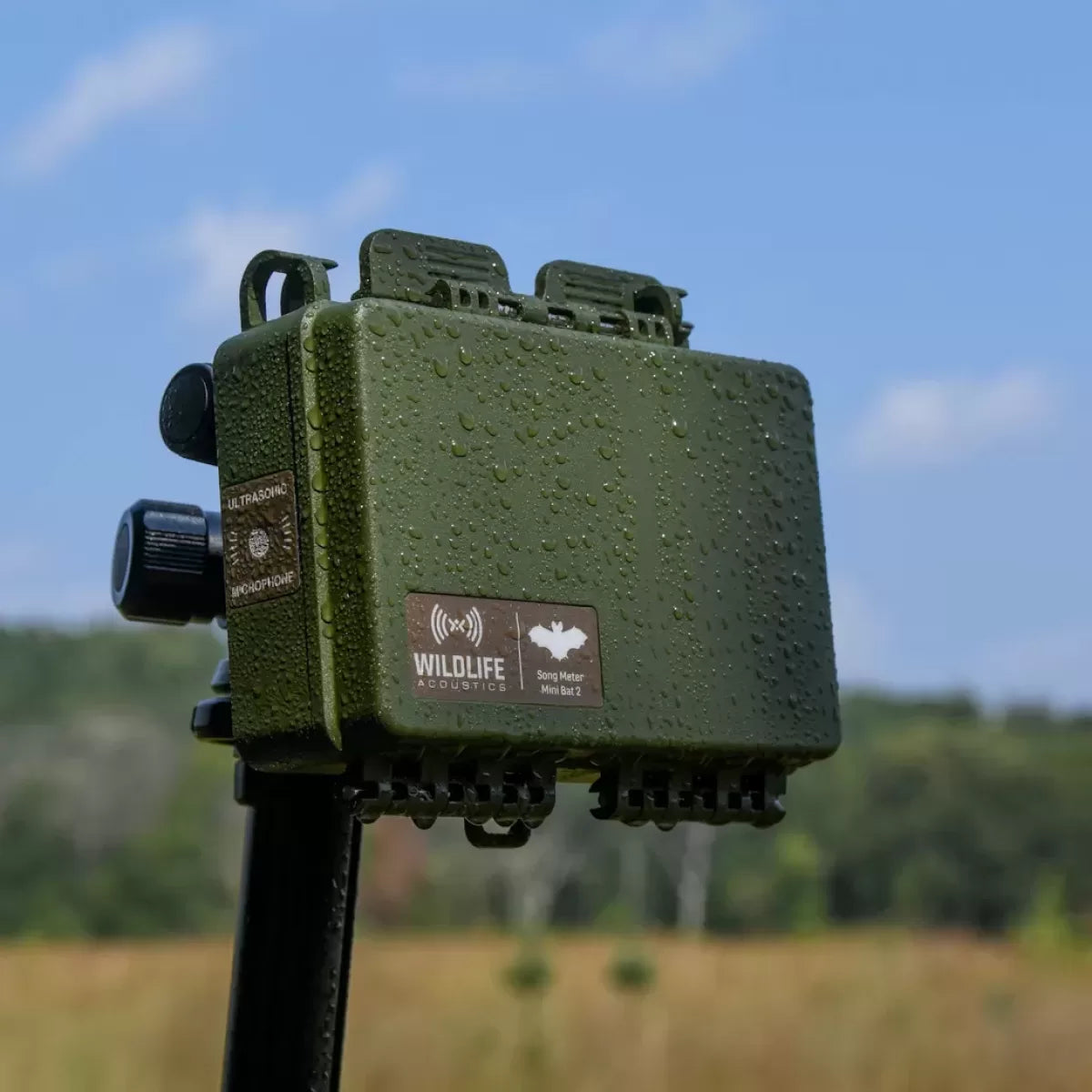 Song Meter Mini Bat 2 AA