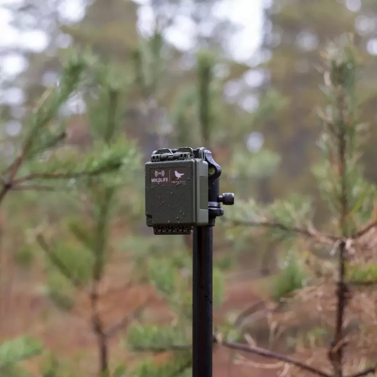 Song Meter Micro 2 de Wildlife Acoustics