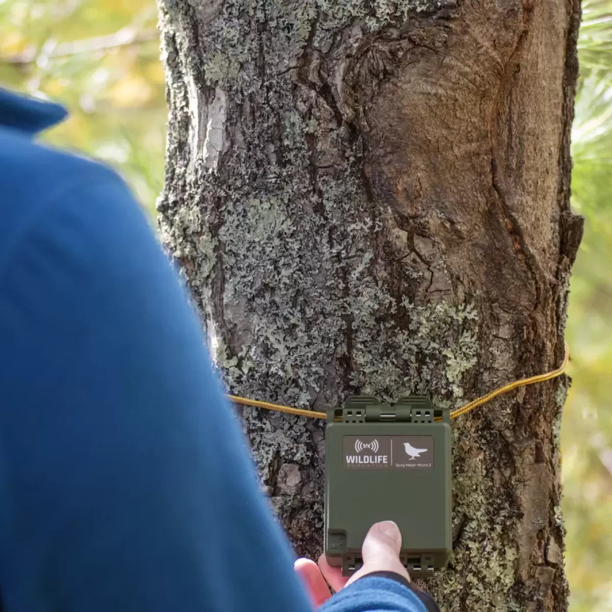 Song Meter Micro 2 de Wildlife Acoustics