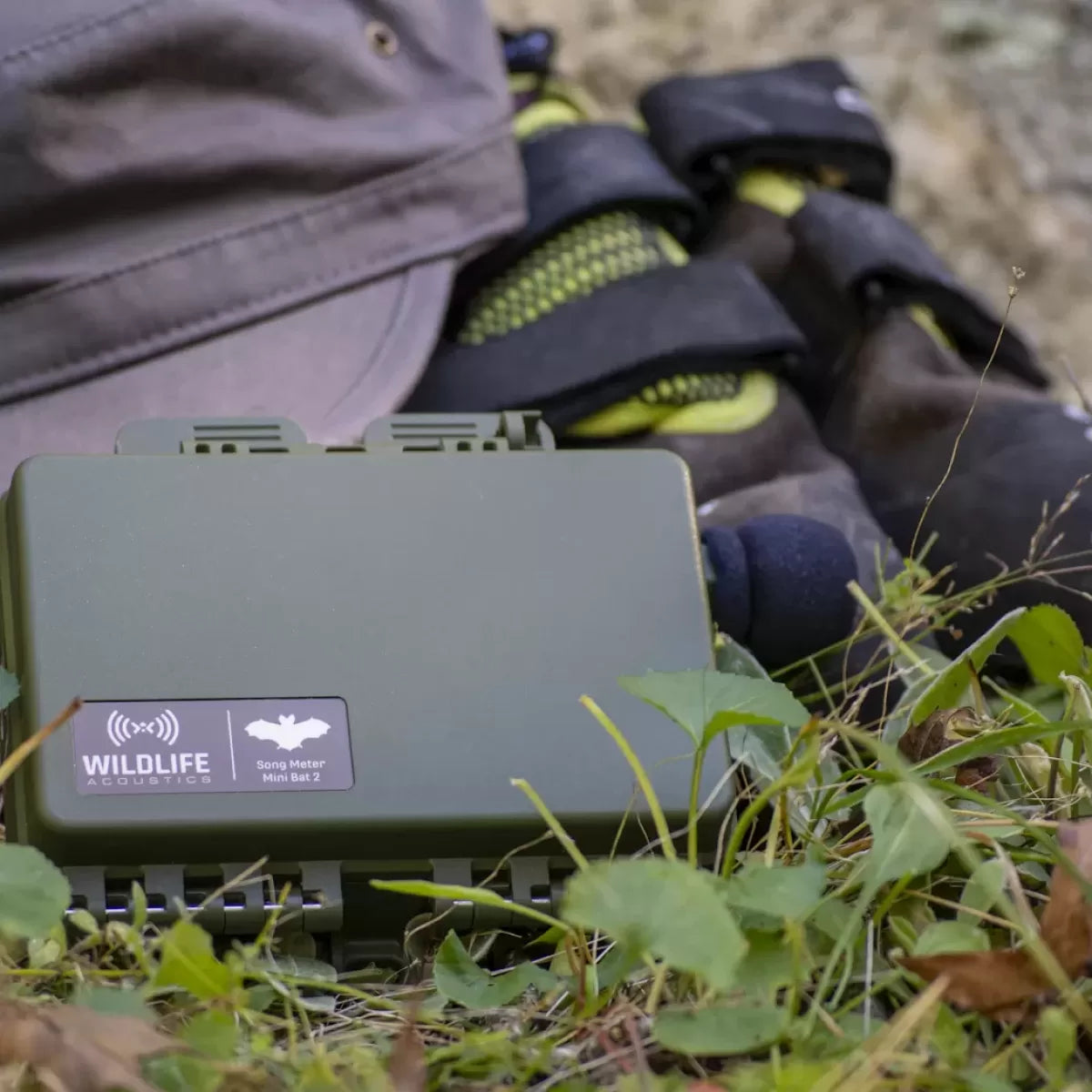 Song Meter Mini Bat 2 AA