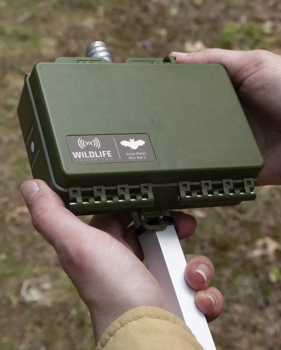 Song Meter Mini Bat 2 AA