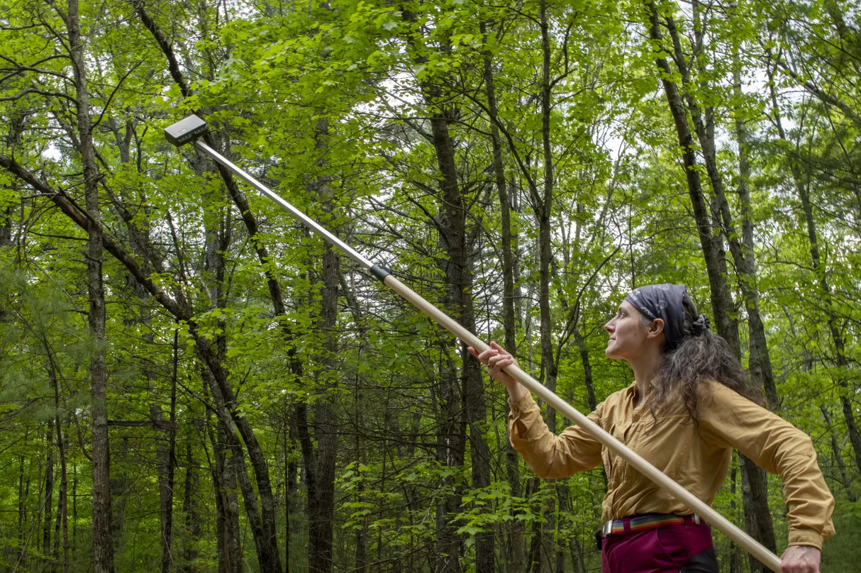 Song Meter Mini Bat 2 AA