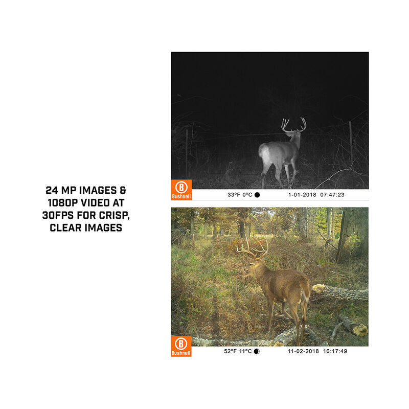Cámara trampa BUSHNELL CORE™ NO GLOW