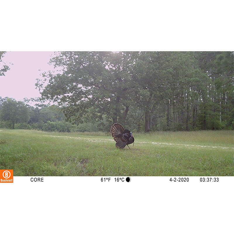 Cámara trampa BUSHNELL CORE™ S-4K NO GLOW