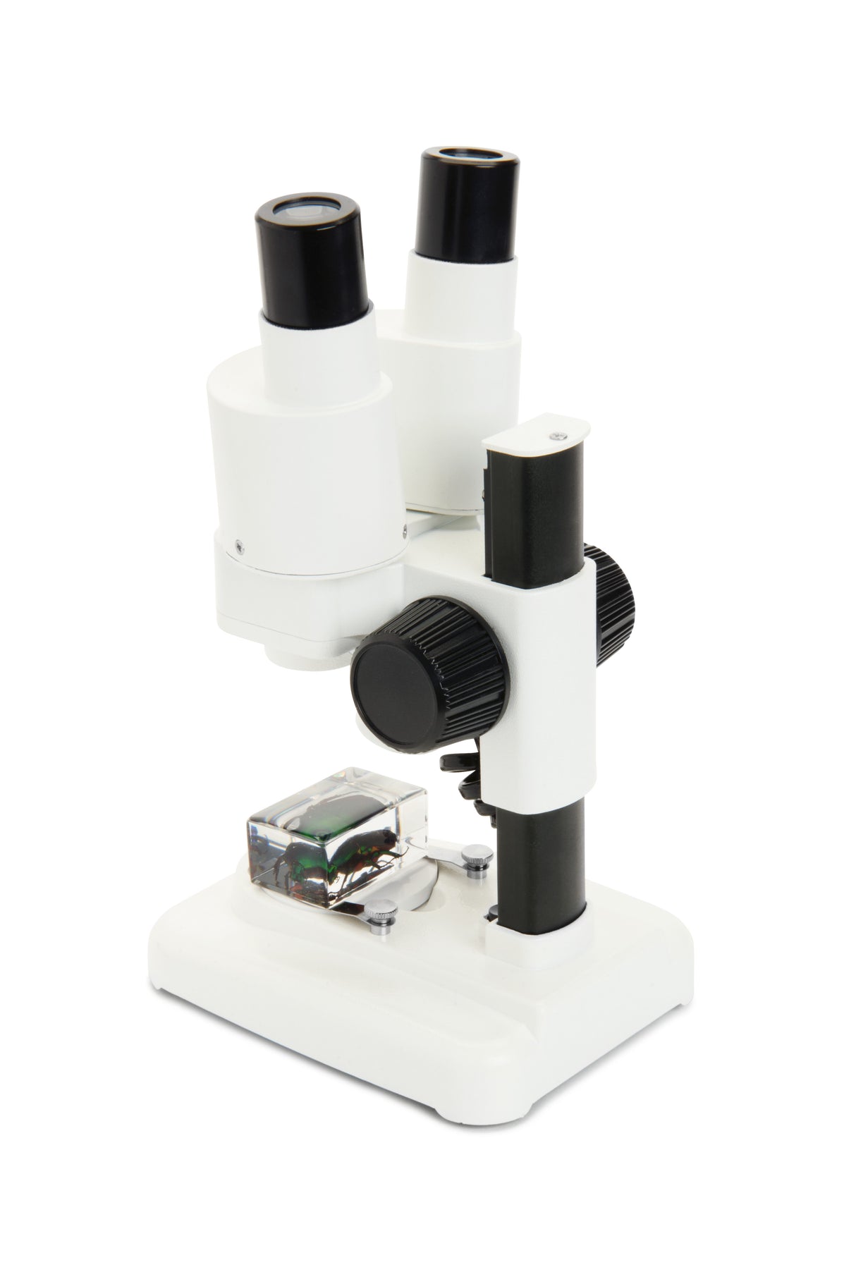 Microscopio Celestron LABS S20