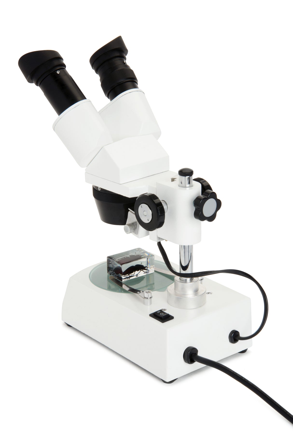 Microscopio Celestron LABS S10-60 Stereo