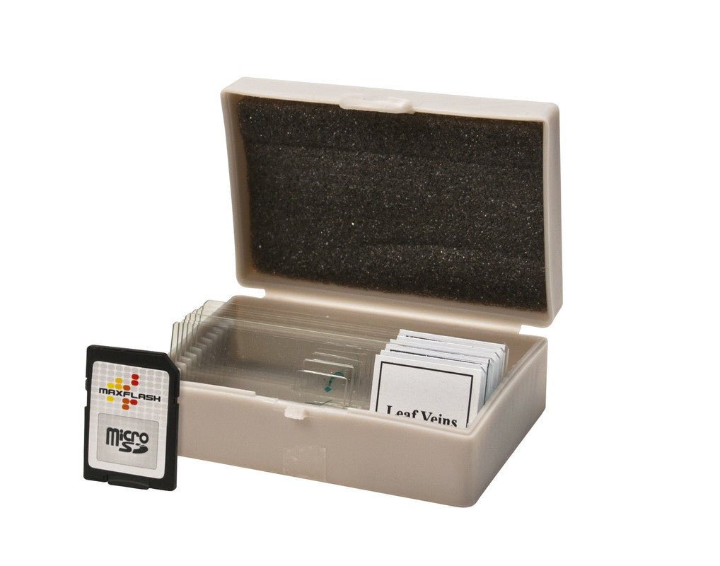 Microscopio Celestron LCD Digital II