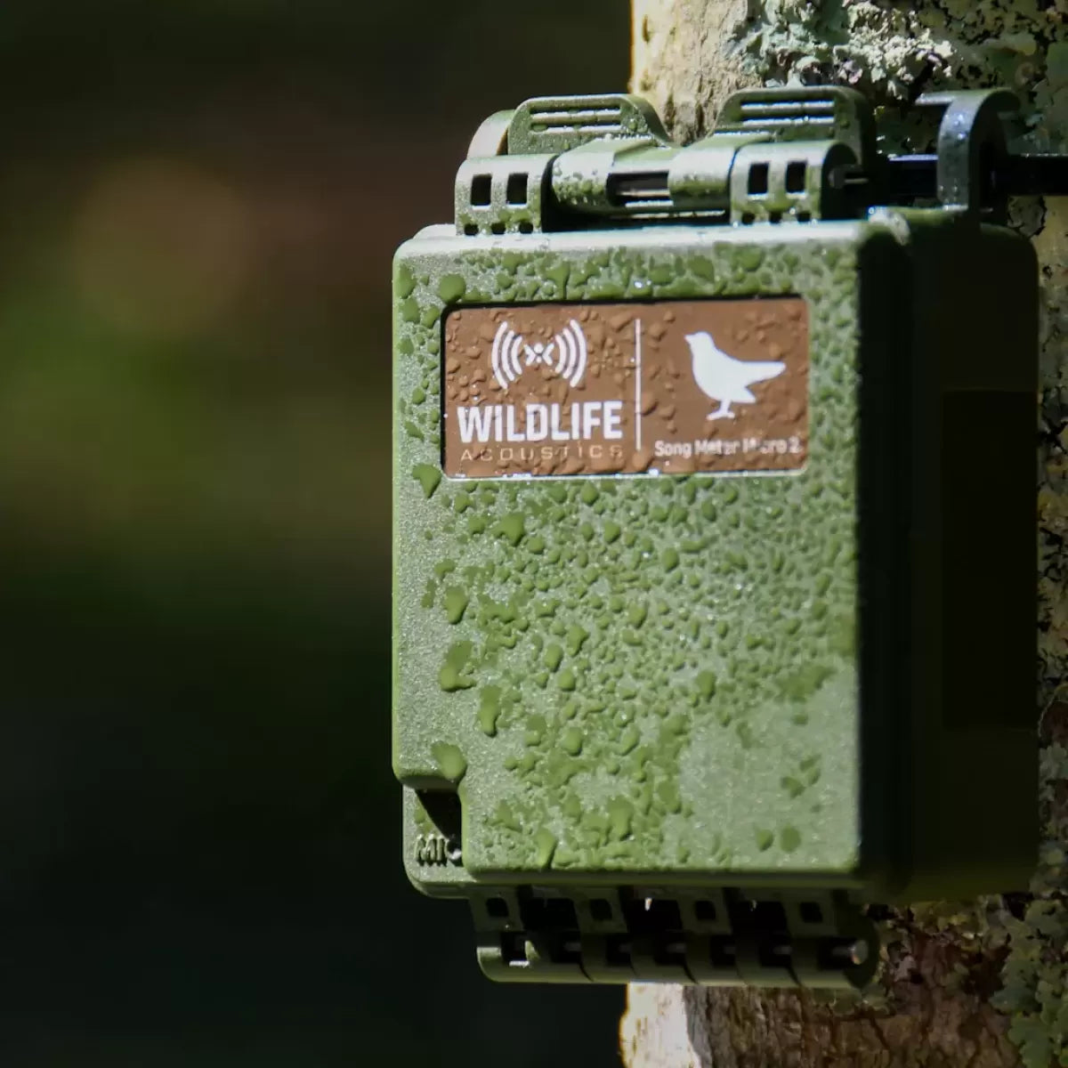 Grabadoras para monitoreo de fauna - Wildlife Acoustics