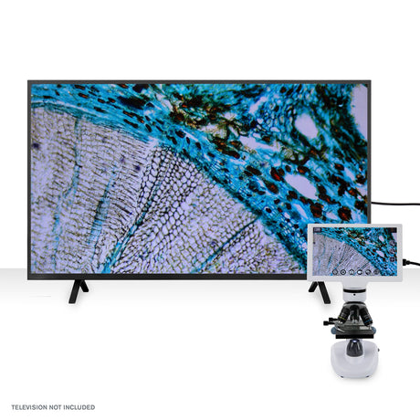 Microscopio Celestron Labs 44354 — imagen 11