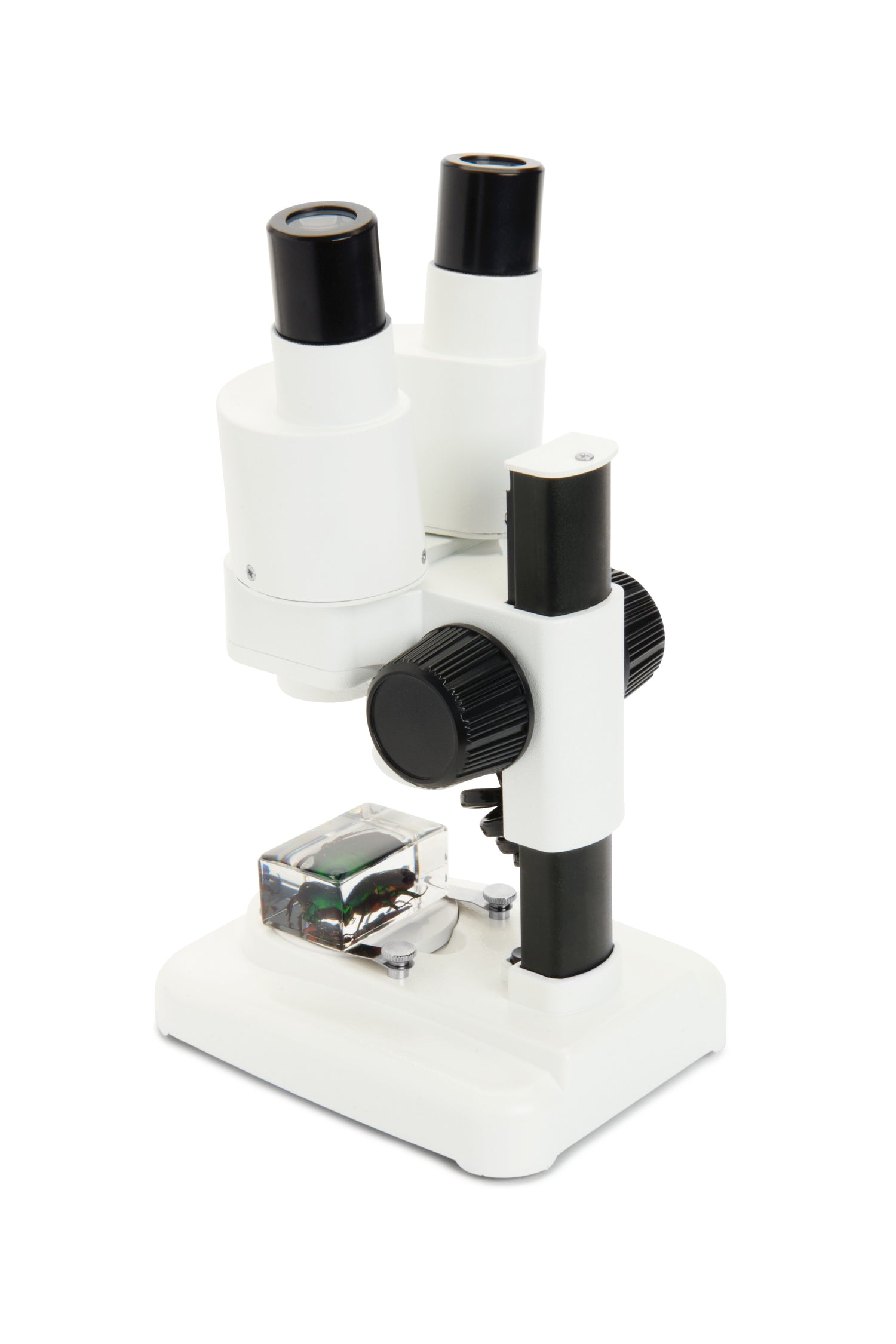 Microscopio Celestron LABS S20
