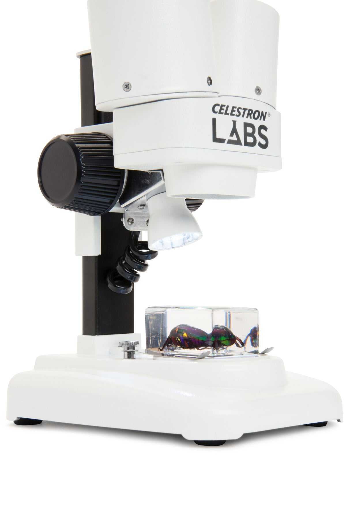 Microscopio Celestron LABS S20