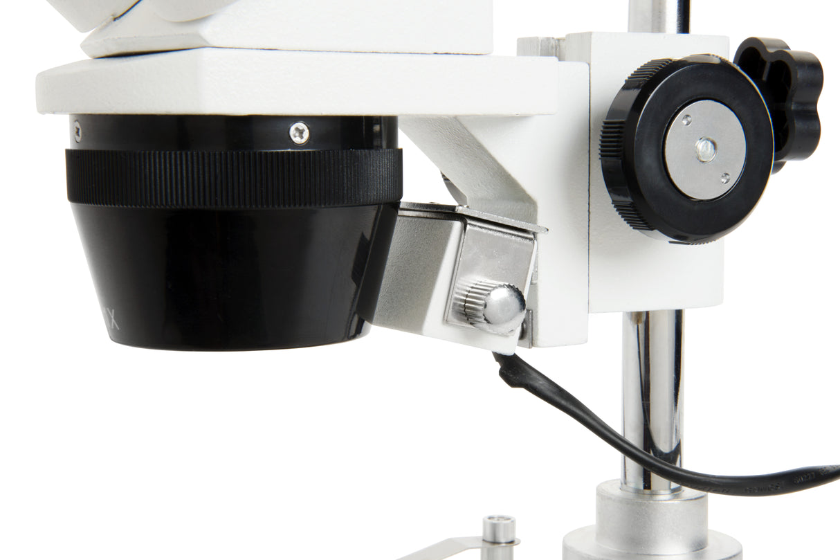 Microscopio Celestron LABS S10-60 Stereo