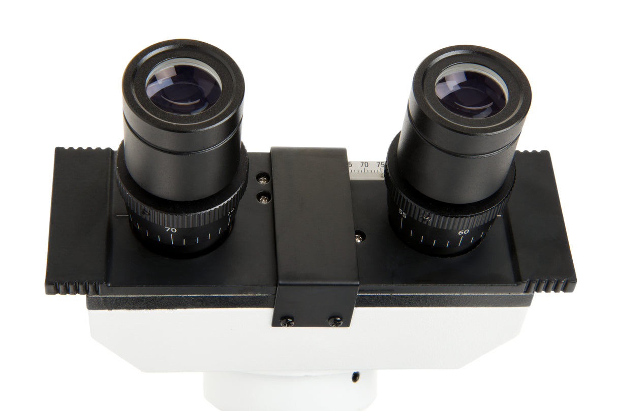 Microscopio Celestron LABS CB2000CF