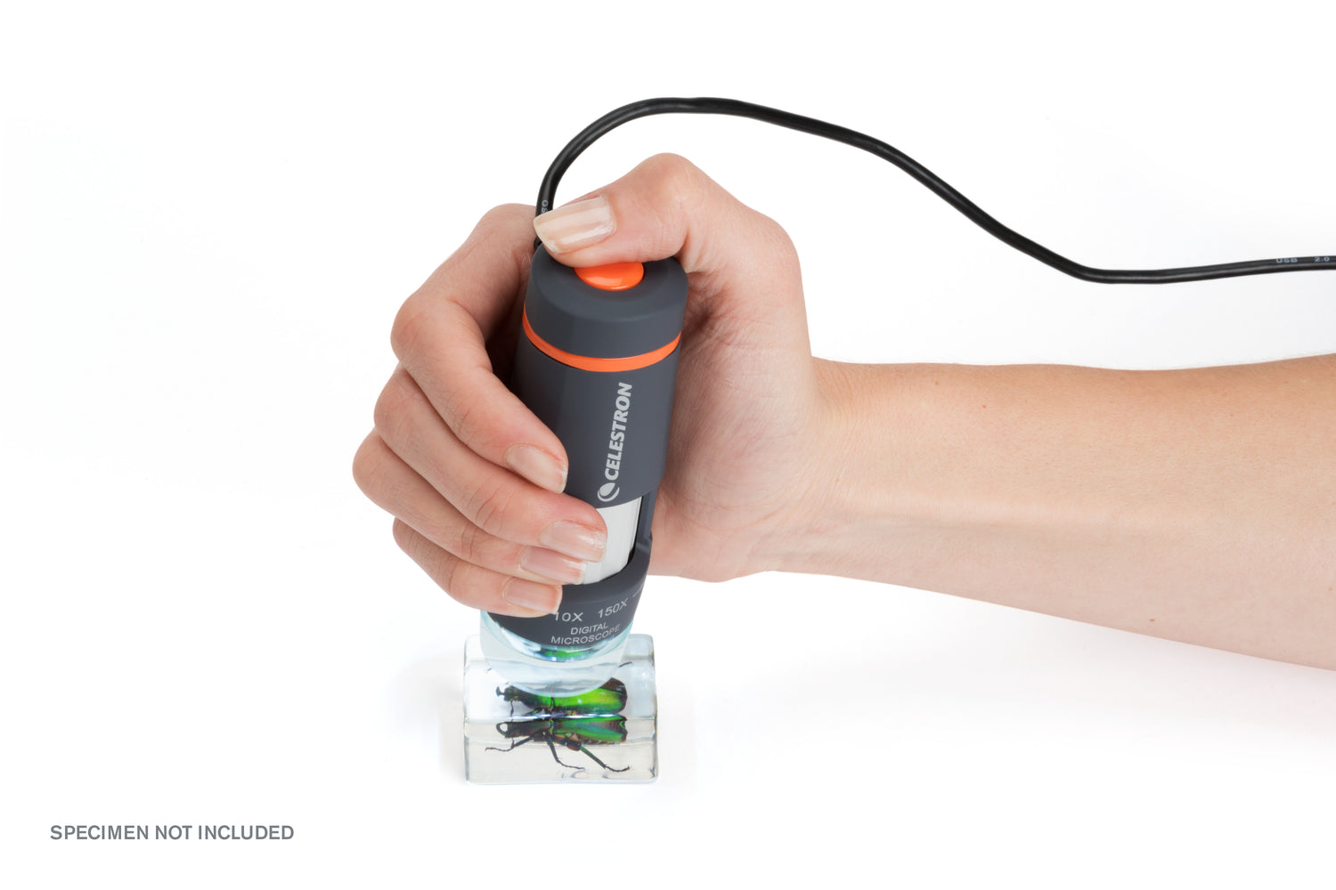 Microscopio Celestron Deluxe Handheld Digital