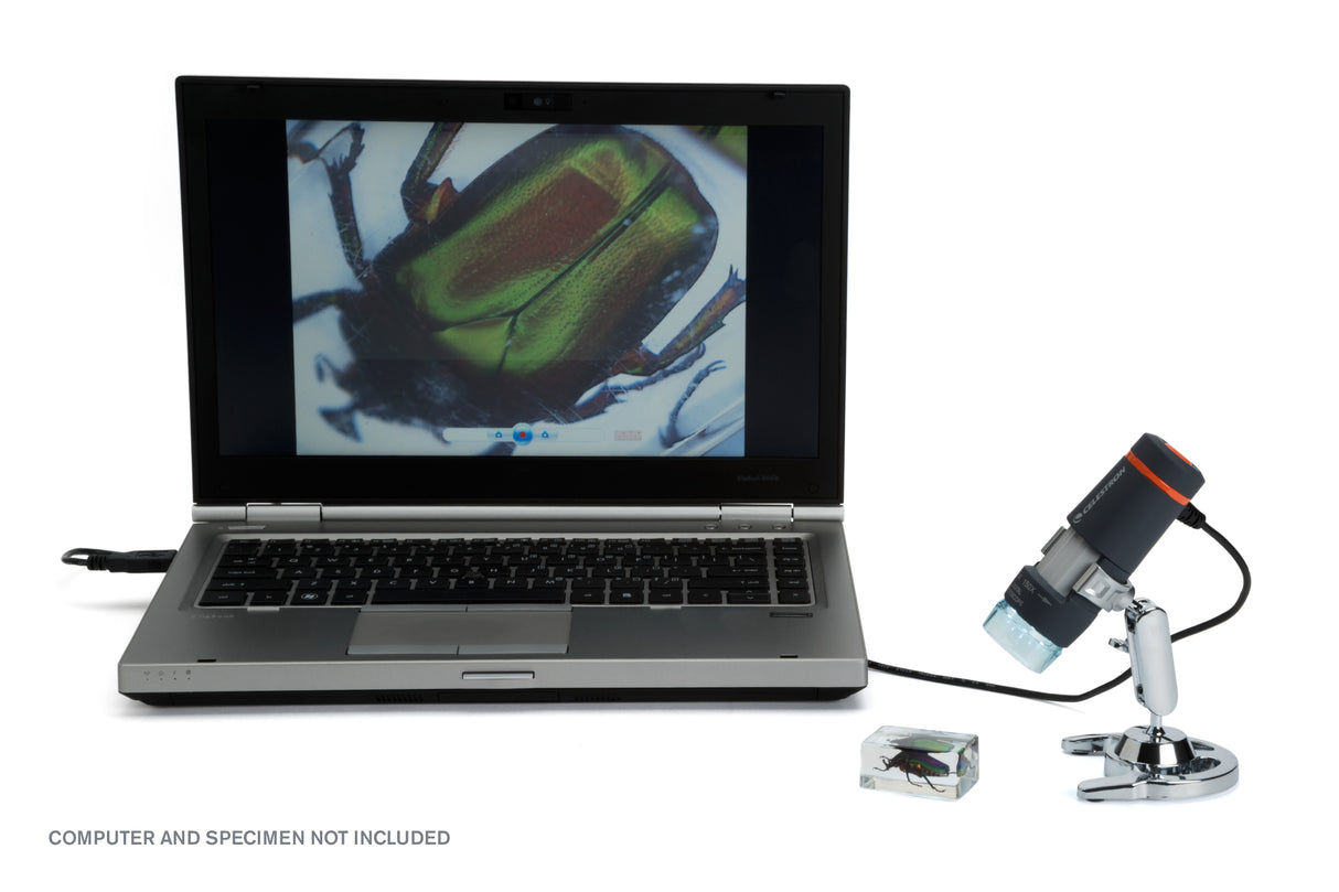 Microscopio Celestron Deluxe Handheld Digital