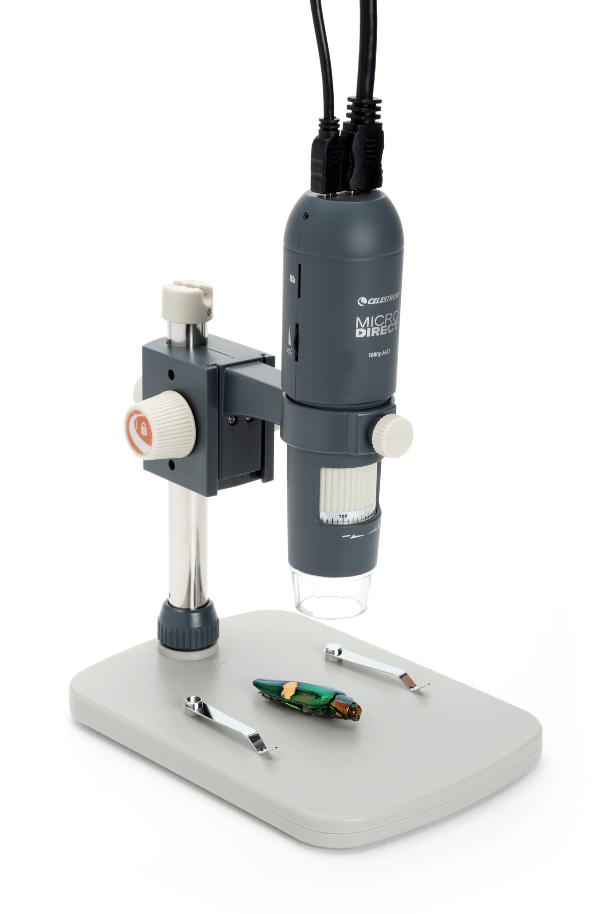 Microscopio Celestron MicroDirect 1080p HD Handheld Digital