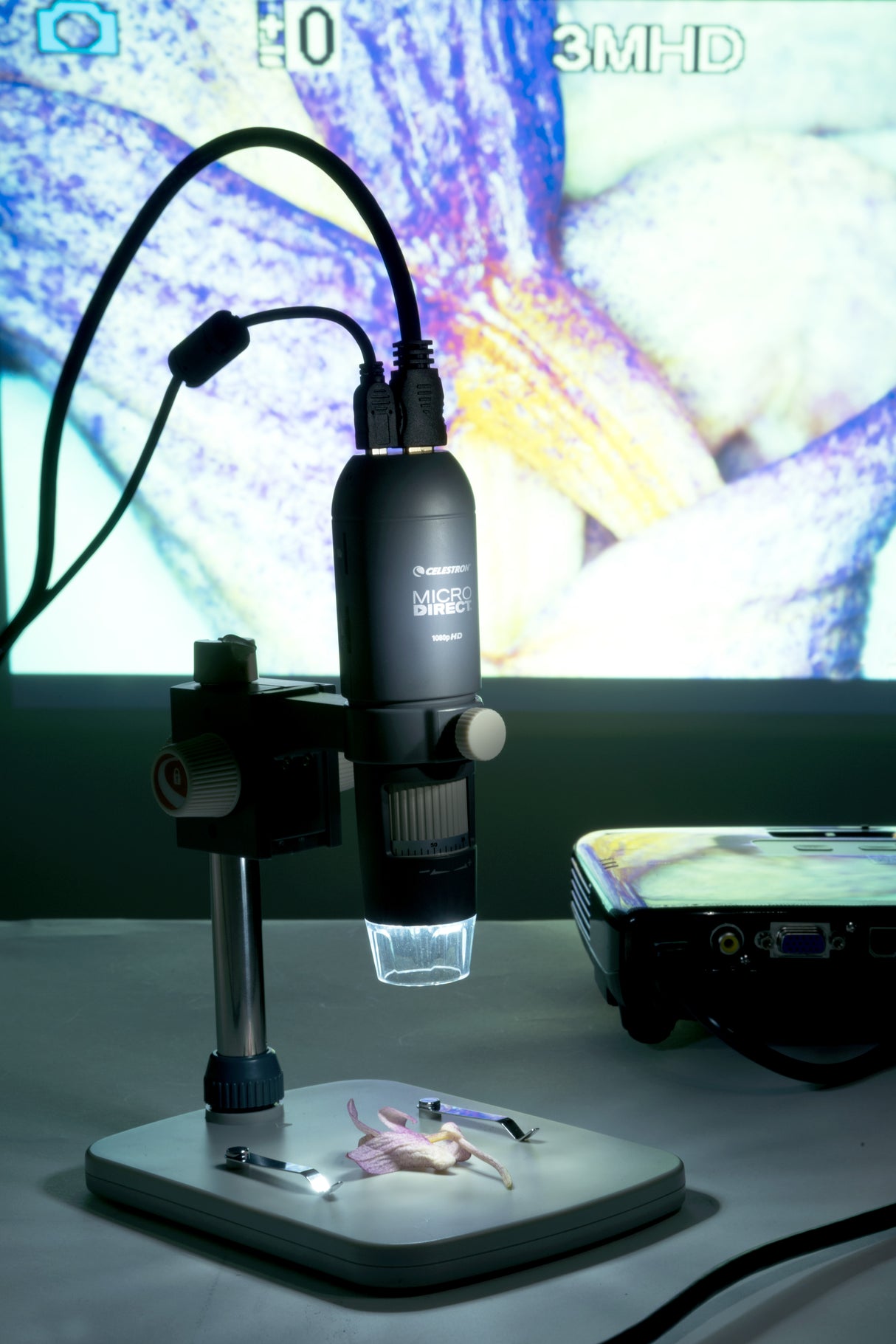 Microscopio Celestron MicroDirect 1080p HD Handheld Digital